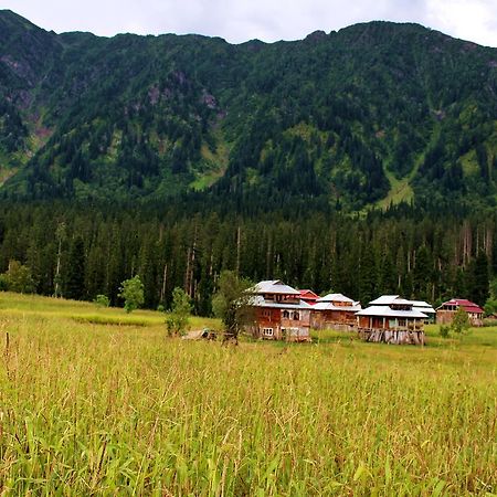 Sharda Resort Shardi Экстерьер фото